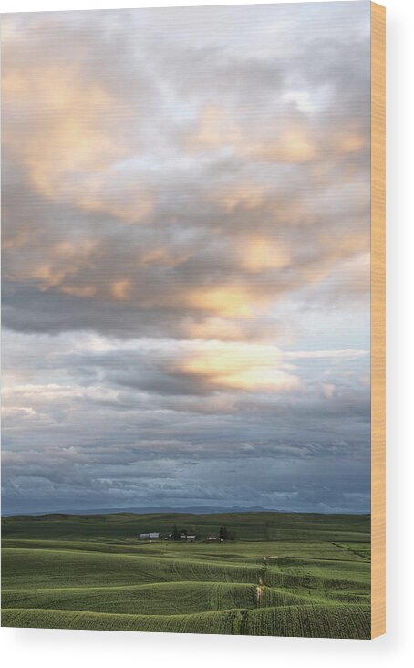Palouse Wood Print featuring the photograph Summer Clouds by Doug Davidson