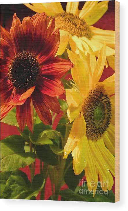  Wood Print featuring the photograph Sunflowers by Sharron Cuthbertson