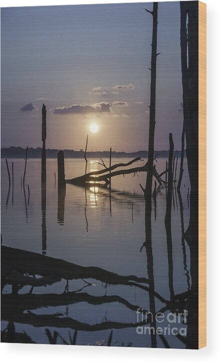 (tree Or Trees) Wood Print featuring the photograph Sunrise over Manasquan Reservoir by Debra Fedchin