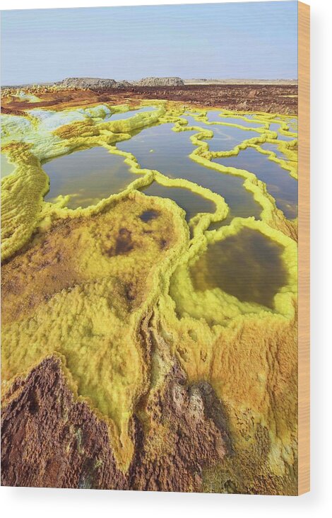 Danakil Desert Wood Print featuring the photograph Surreal Landscape, Dallol, Dankil by Dave Stamboulis Travel Photography