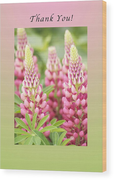 Lupine Wood Print featuring the photograph Thank You Lupine Pastels by Michael Peychich