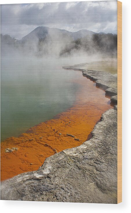 New Zealand Wood Print featuring the photograph The Champagne Pool at Wai O Tapu by Venetia Featherstone-Witty