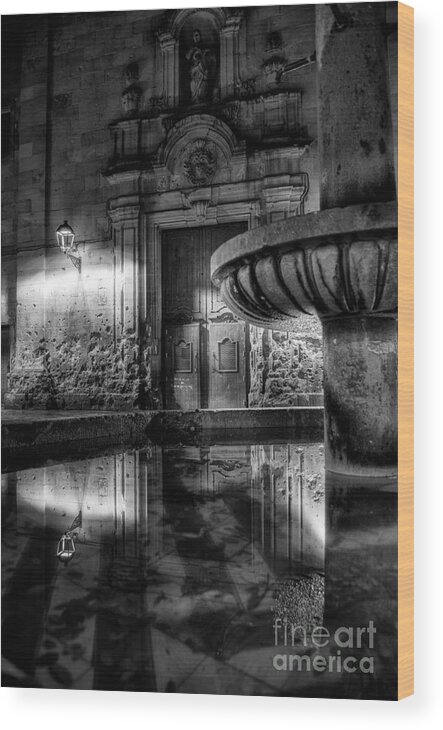 Silent Lucidity Wood Print featuring the photograph The Reflection Of Fountain by Erhan OZBIYIK