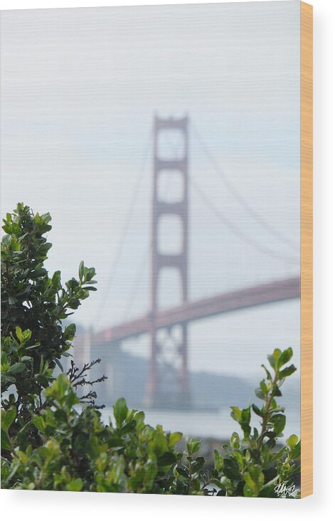 Golden Gate Bridge Photos Wood Print featuring the photograph This Twig by Laura Hol Art
