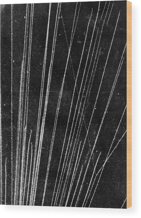 Alpha Ray Wood Print featuring the photograph Tracks Of Alpha Particles by Science Photo Library