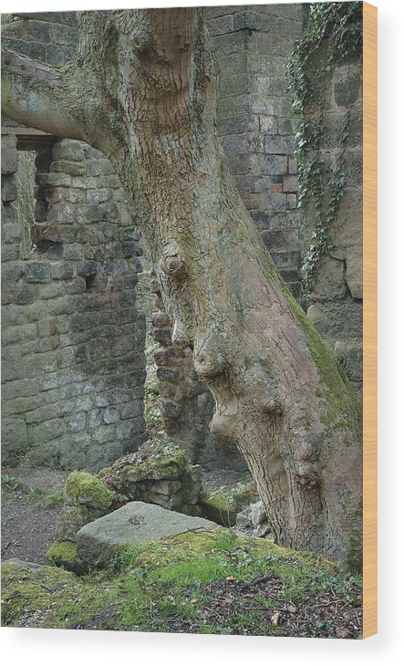 Tree Trunk Wood Print featuring the photograph Tree trunk Lumbsdale by Jerry Daniel