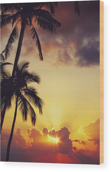 Tropical Wood Print featuring the photograph Tropical Sunset by Jenny Rainbow