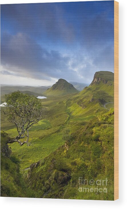 Landscape Wood Print featuring the photograph Trotternish Ridge by David Lichtneker