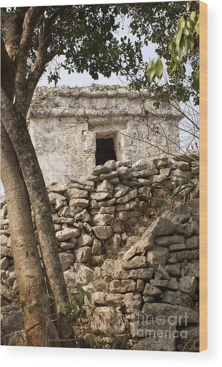 Mexico Wood Print featuring the photograph Tulum Wall Mexico by John Mitchell