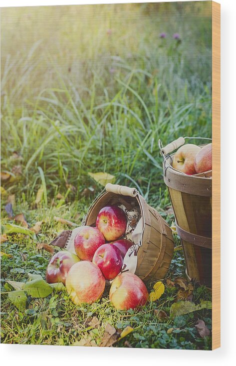 Peck Of Apples Wood Print featuring the photograph Tumbling Out by Heather Applegate