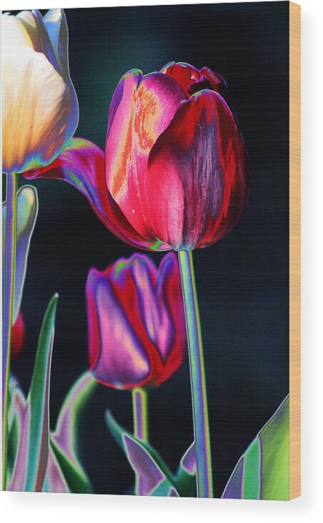 Tulips Wood Print featuring the digital art Two Lips 4 You by Joseph Coulombe