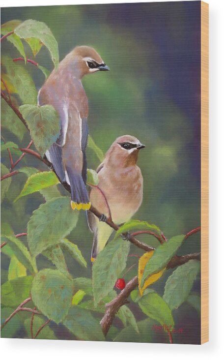 Cedar Waxwing Wood Print featuring the pastel Two Waxwings One Berry by Marcus Moller