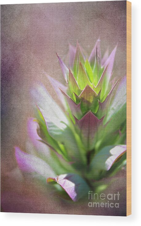 Flora Wood Print featuring the photograph Unshakeable Happiness by Ellen Cotton