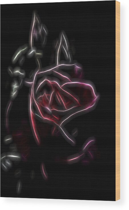 Warm Reds Wood Print featuring the digital art Velvet Rose 2 by William Horden