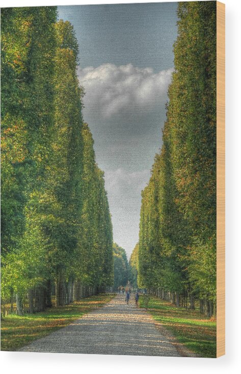 Versailles Wood Print featuring the photograph Versailles Promenade by Michael Kirk