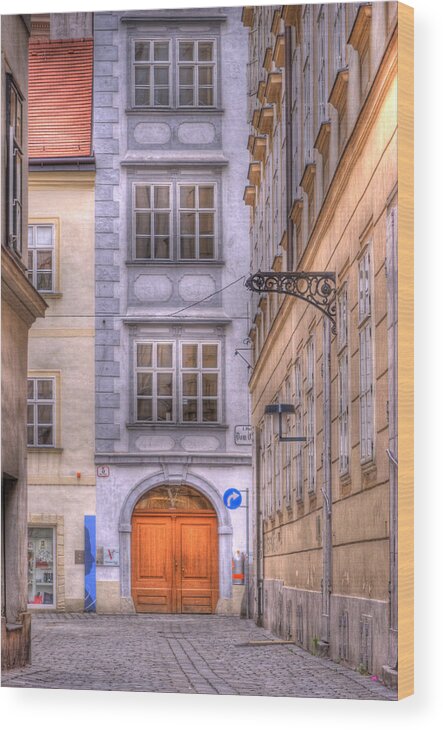 Vienna Wood Print featuring the photograph VIENNA Mozarthaus by Juli Scalzi
