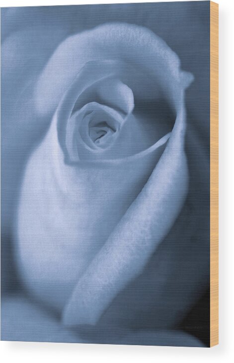 Rose Wood Print featuring the photograph Vintage Blue Rose Bud Flower by Jennie Marie Schell