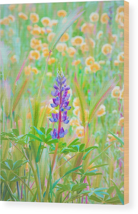 California Wildflowers Wood Print featuring the photograph Wildflower Meadow - Spring in Central California by Ram Vasudev