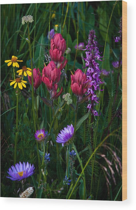 Landscape Wood Print featuring the photograph Wildflowers a Bloomin by Steven Reed