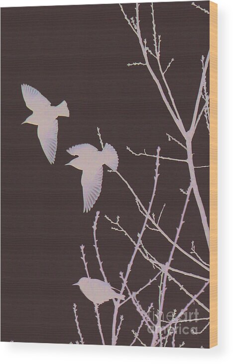  Wood Print featuring the photograph Winged Ones by Jeanette French