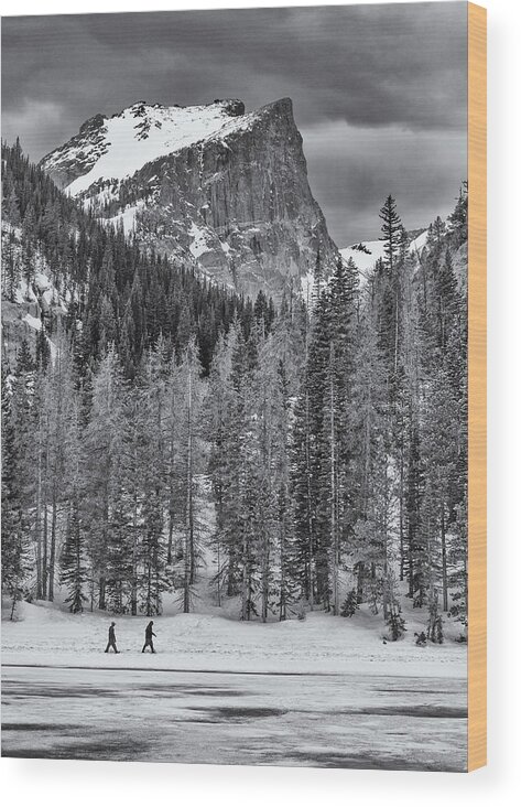 Snow Wood Print featuring the photograph Winter Hike by Darren White