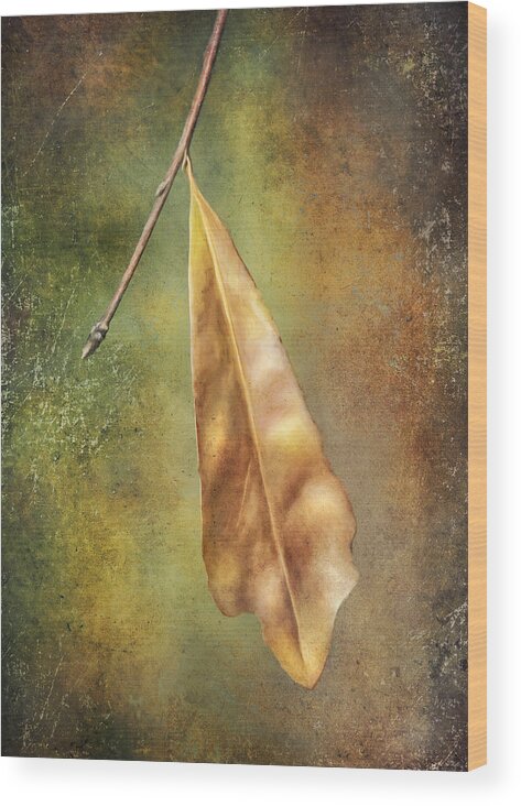 Leaf Wood Print featuring the photograph Winter is Coming by Brenda Bryant