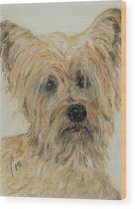 Terrier Wood Print featuring the drawing Wonder-ful by Cori Solomon