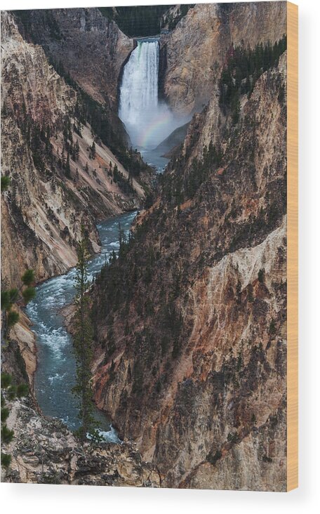 Waterfall Wood Print featuring the photograph Yellowstone Lower Falls by Rob Hemphill
