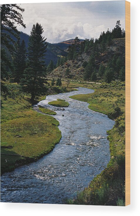 Costilla Creek Wood Print featuring the photograph Costilla Creek In Fall by Ron Weathers