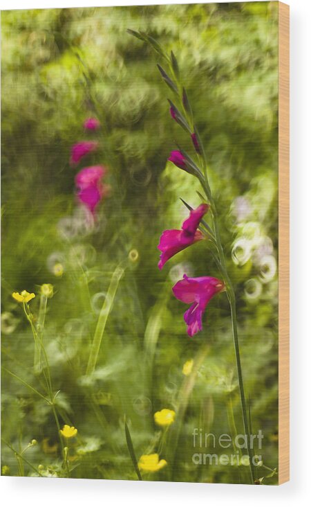 June Wood Print featuring the photograph June in bloom #1 by Ang El