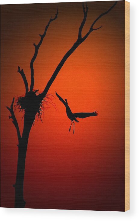 Heron Wood Print featuring the digital art Coming Home #2 by Carrie OBrien Sibley