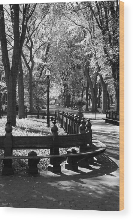 Black And White Wood Print featuring the photograph Scenes From Central Park #3 by Rob Hans