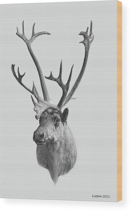 Alaska Elk Wood Print featuring the digital art Alaska Elk by Larry Linton