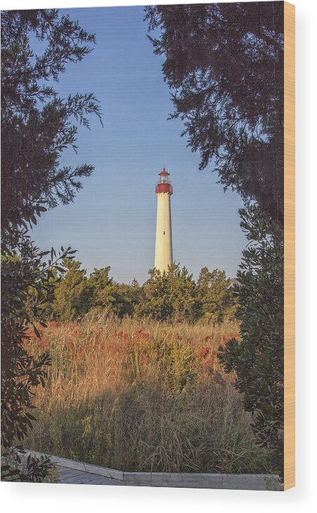 Cape May Point Lighthouse Wood Print featuring the photograph Autumn Lighthouse by Tom Singleton