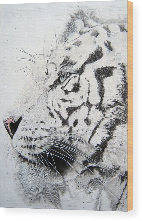  Tigers Paintings Wood Print featuring the drawing Bengala by Mayhem Mediums