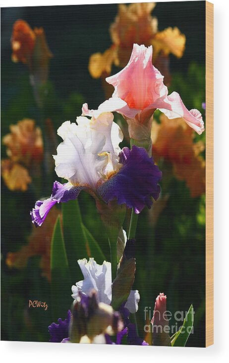 Iris Wood Print featuring the photograph Blooming Irises by Patrick Witz