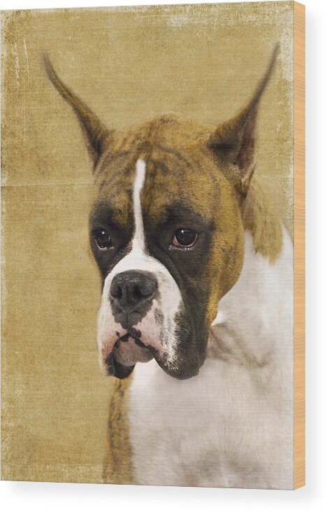 Boxer Wood Print featuring the photograph Boxer by Rebecca Cozart