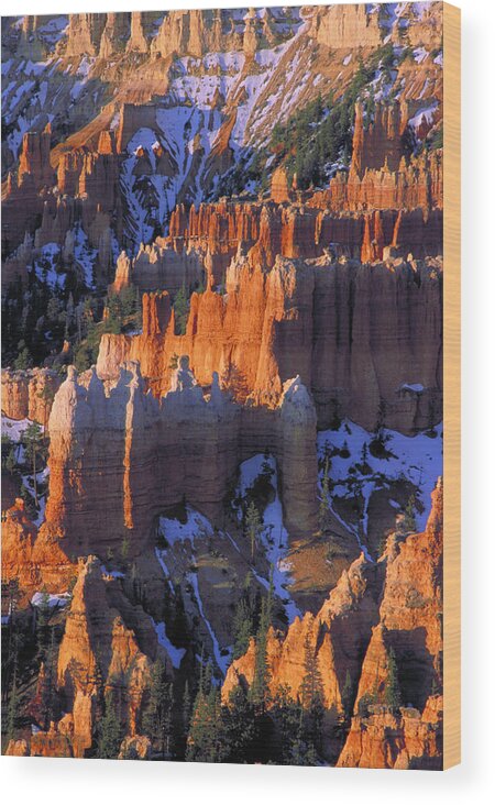 Bryce Canyon Sunrise Forms Color Wood Print featuring the photograph Bryce Sunrise by John Farley