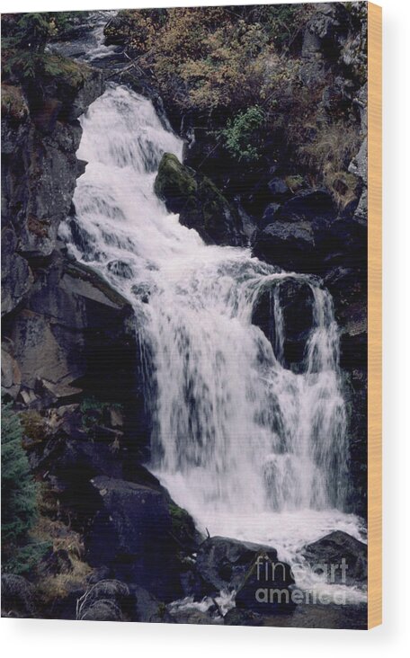 Water Fall Wood Print featuring the photograph Cool Clear Waters by Sharon Elliott