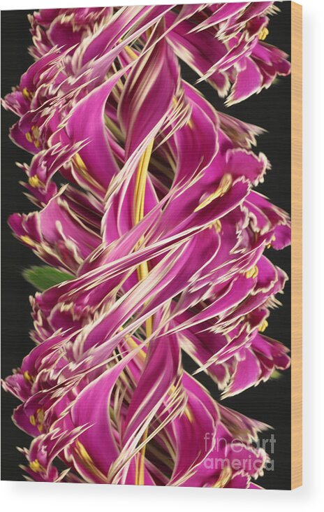 Design Wood Print featuring the photograph Digital Streak Image Of African Violets by Ted Kinsman
