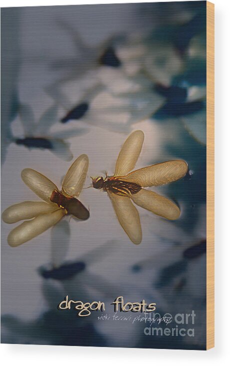  Wood Print featuring the photograph Dragon Floats by Vicki Ferrari