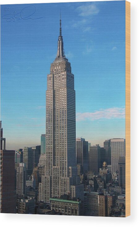 Empire State Building Wood Print featuring the photograph Empire at Large by S Paul Sahm