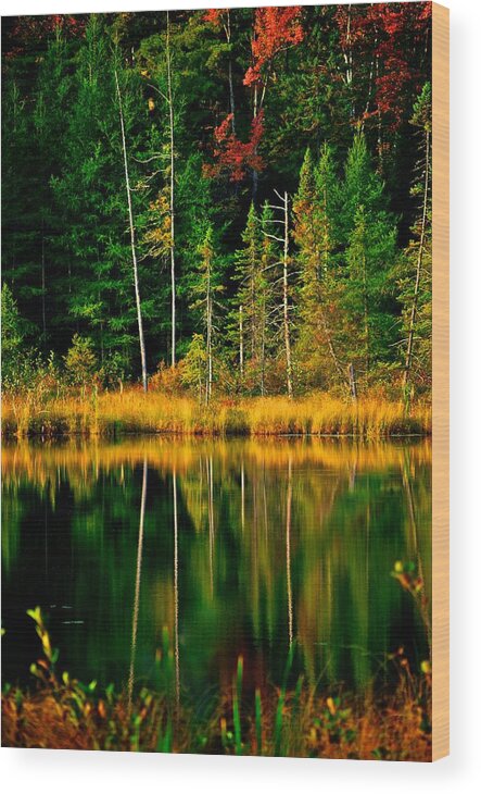 Lake Wood Print featuring the photograph Fall Colors and Reflections by Prince Andre Faubert