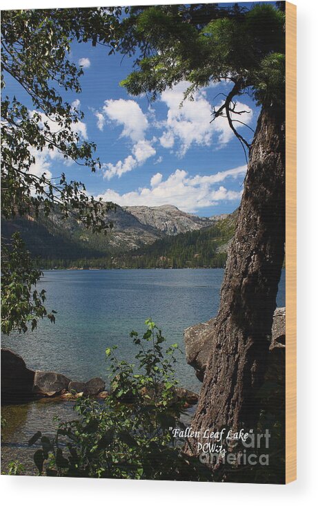 Tahoe Wood Print featuring the photograph Fallen Leaf Lake by Patrick Witz