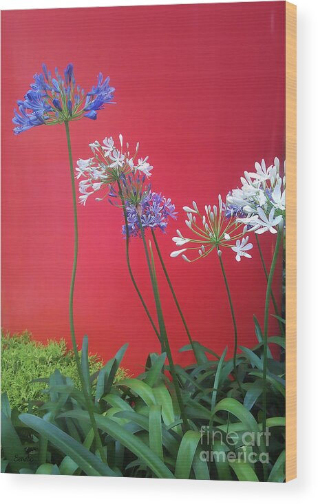Flowers Wood Print featuring the photograph Flowers in the City by Eena Bo