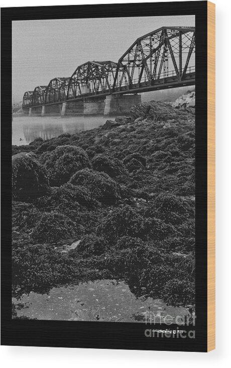 Maine Wood Print featuring the photograph Frenchmans Bay Rr Bridge by Jonathan Fine