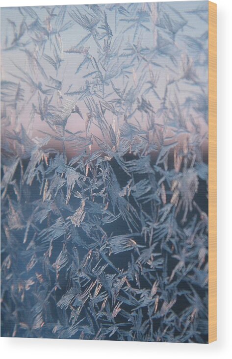 Frost Wood Print featuring the photograph Frost Lace by Ellery Russell