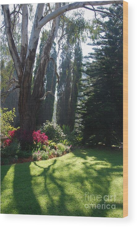 Garden Wood Print featuring the photograph Garden sunlight 5 by Fran Woods