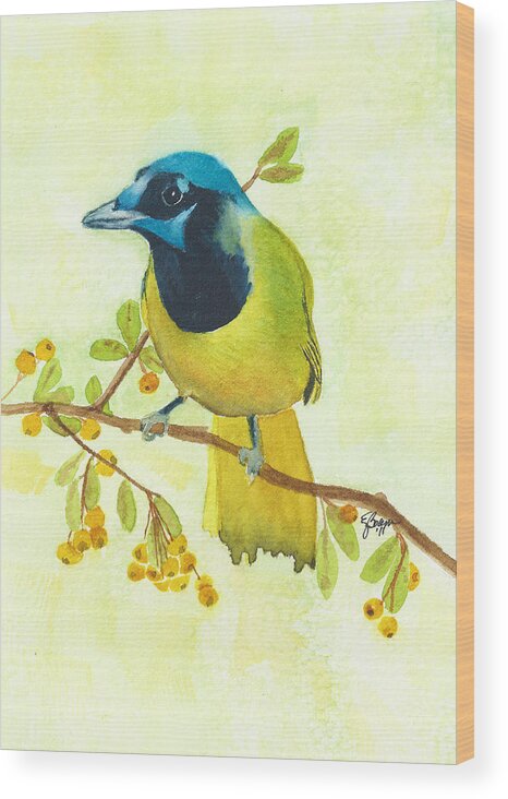 Birds Wood Print featuring the painting Green Jay by Elise Boam