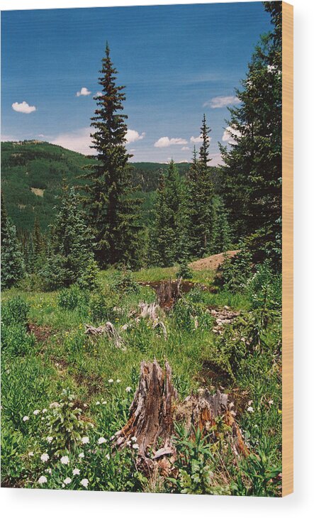 Red River Wood Print featuring the photograph High Mountain Meadow by Ron Weathers